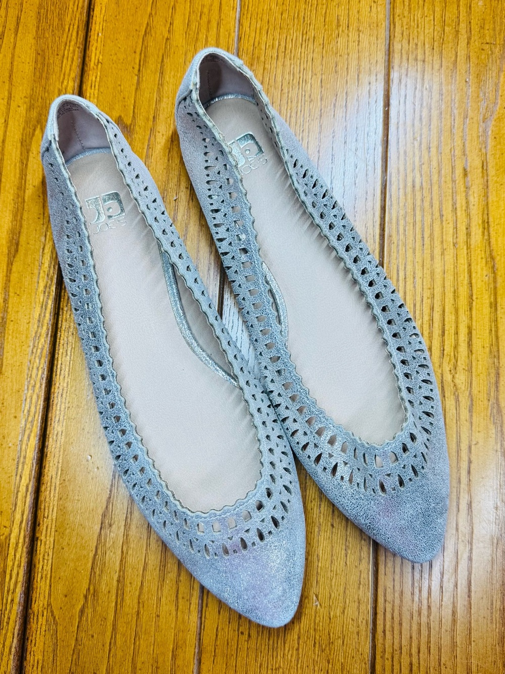 Joe’s Jeans Metallic Silver Pointed-Toe Flats — Laser Cut Detail ✨ 8.5